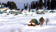 Exotic Kashmir Vacation